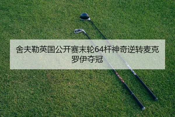 she-fu-lei-ying-guo-gong-kai-sai-mo-lun-gan-shen-qi-ni-zhuan-mai-ke-luo-yi-duo-guan-2-995.jpg